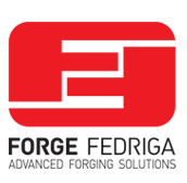 forge-fedriga-logo